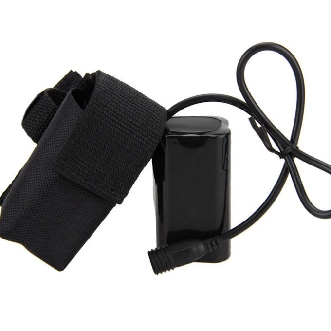 100 W Akkupack